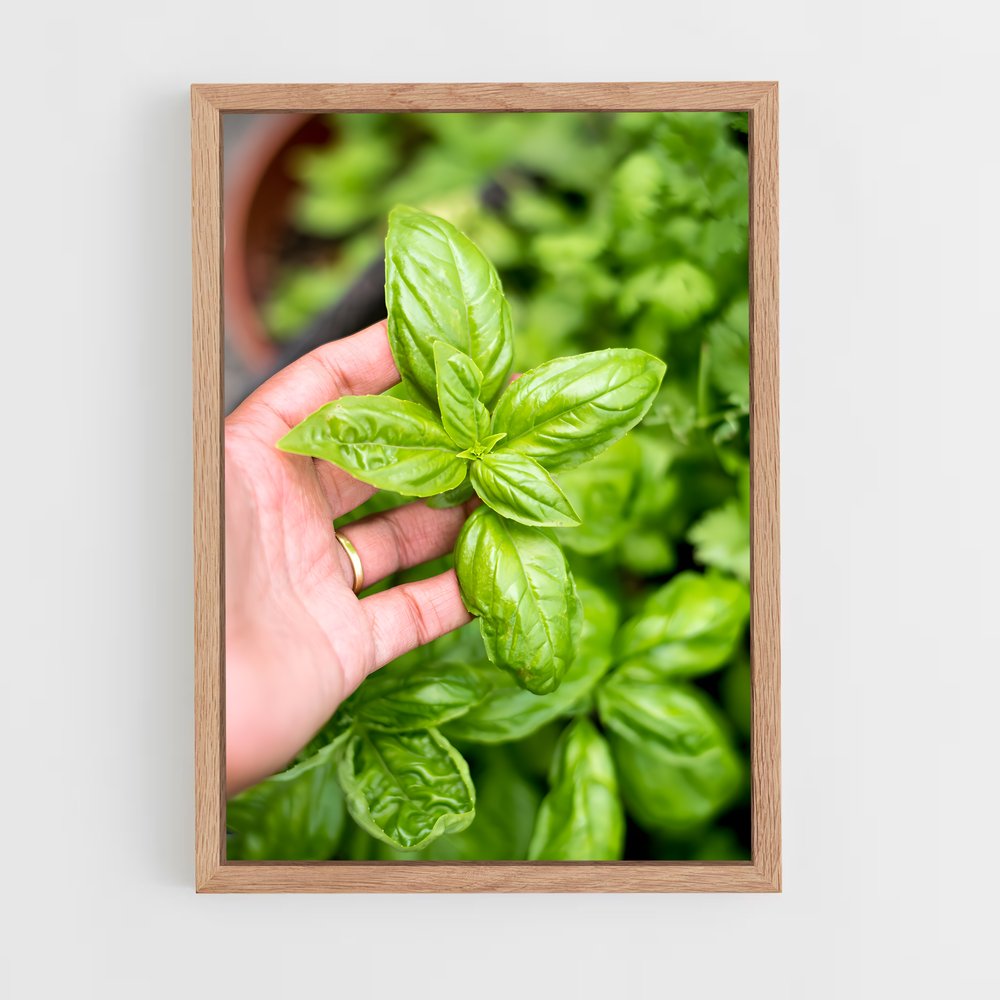 ap-basil-3 cadre Bois clair
