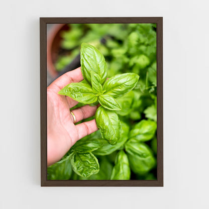 ap-basil-3 cadre Bois foncé