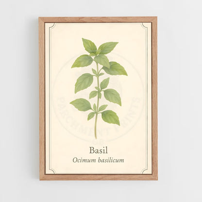 ap-basil-5 cadre Bois clair
