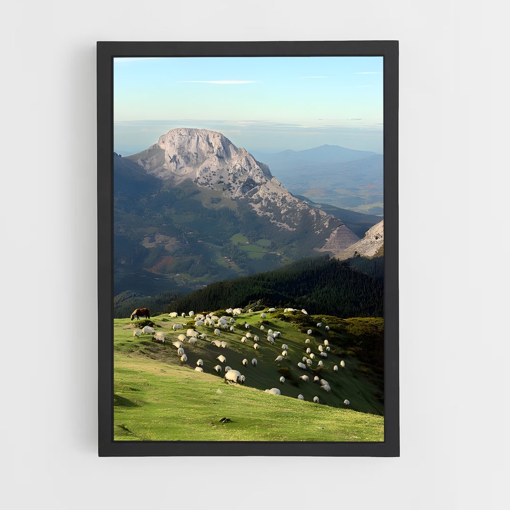 ap-basque country-1 cadre Noir