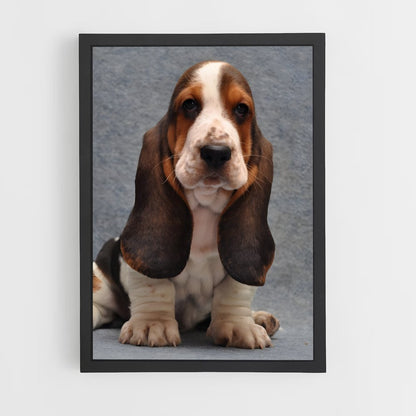 ap-basset hound-1 cadre Noir
