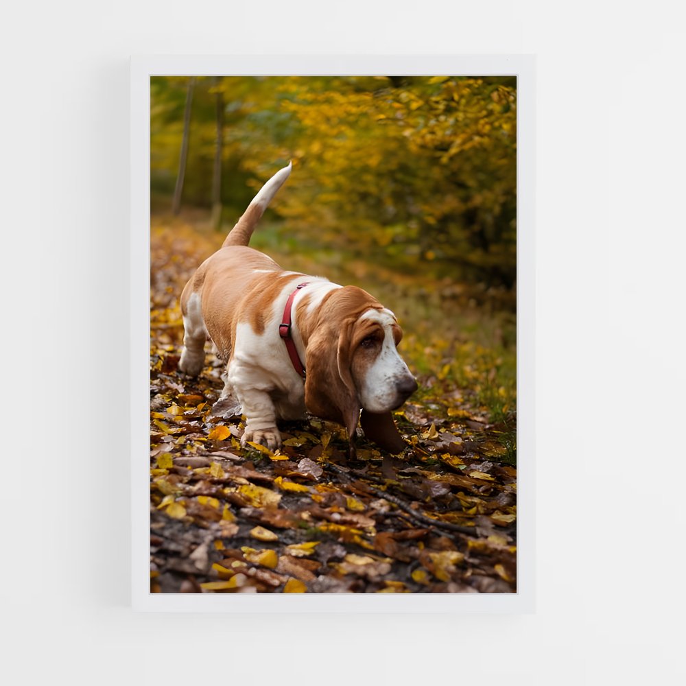 ap-basset hound-4 cadre Blanc