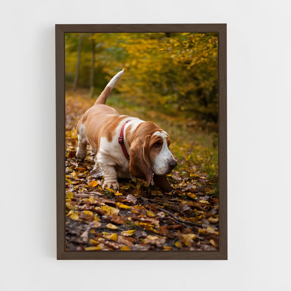 ap-basset hound-4 cadre Bois foncé