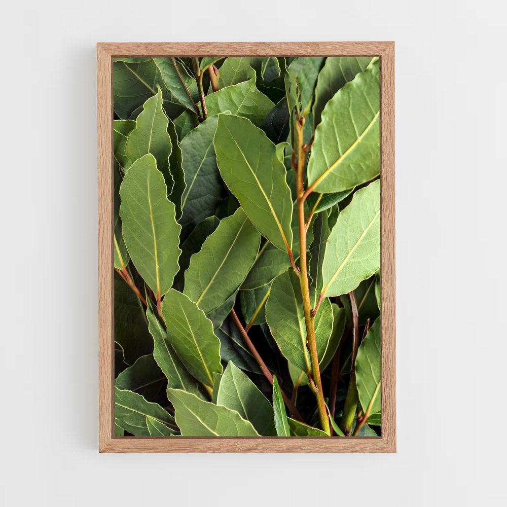 ap-bay leaves-2 cadre Bois clair