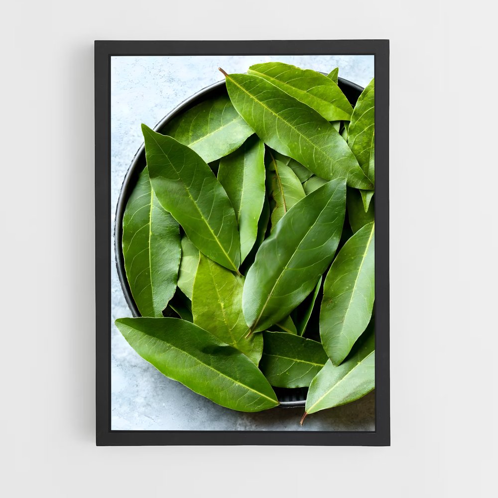 ap-bay leaves-7 cadre Noir
