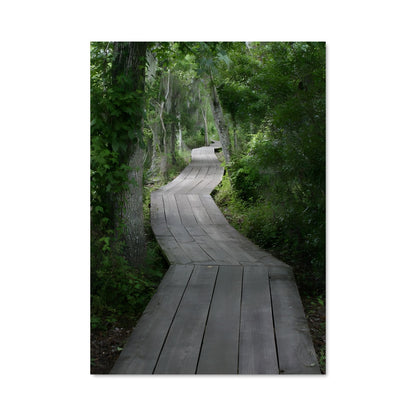 Poster Bayou 96225