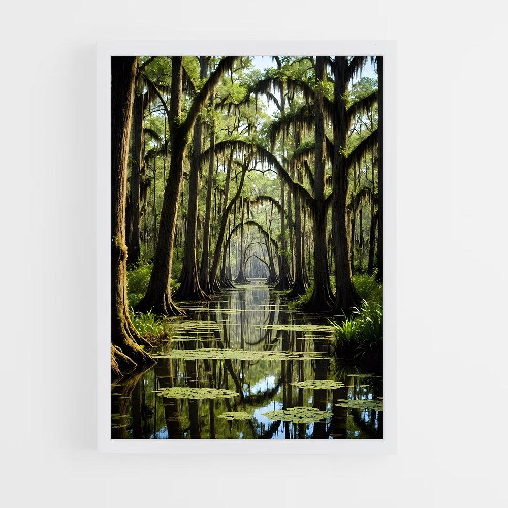 ap-bayou-2 cadre Blanc