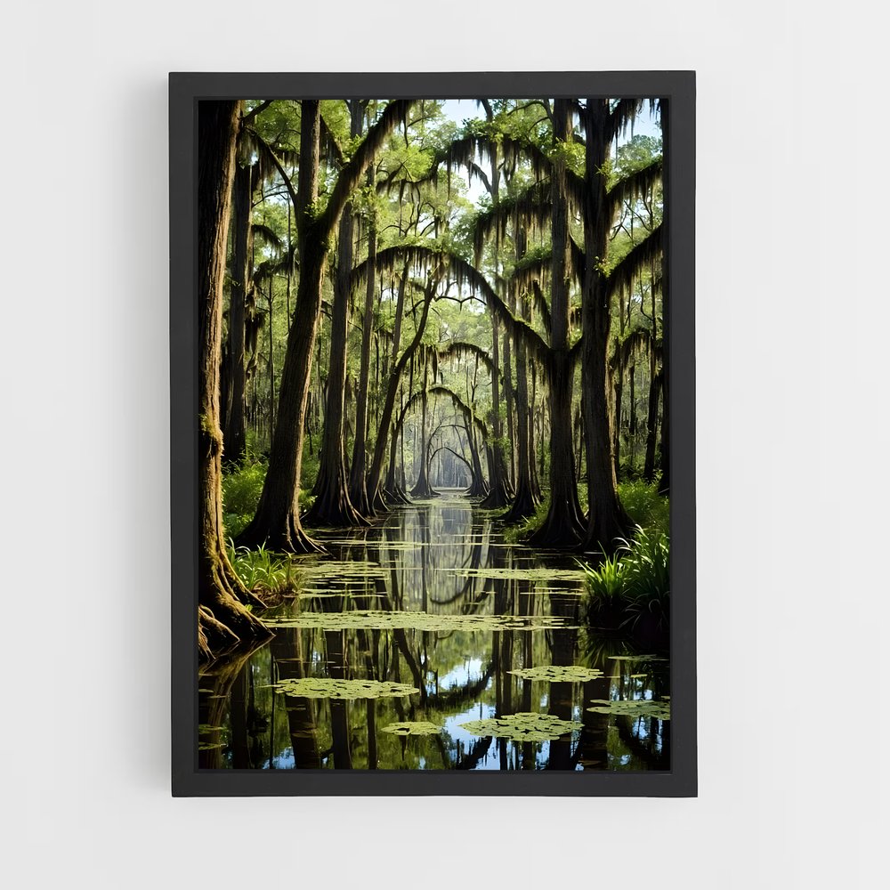 ap-bayou-2 cadre Noir