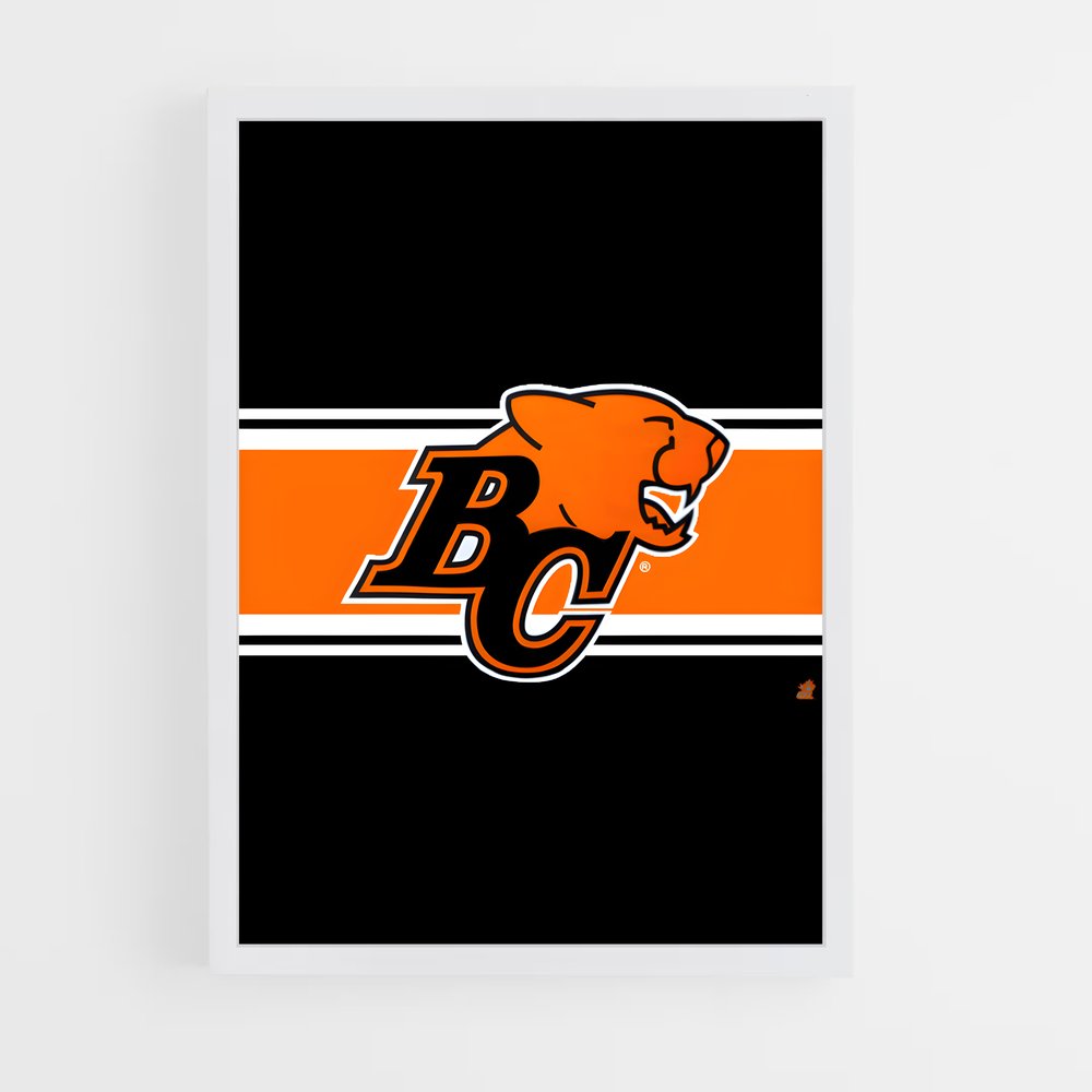 ap-bc lions-4 cadre Blanc