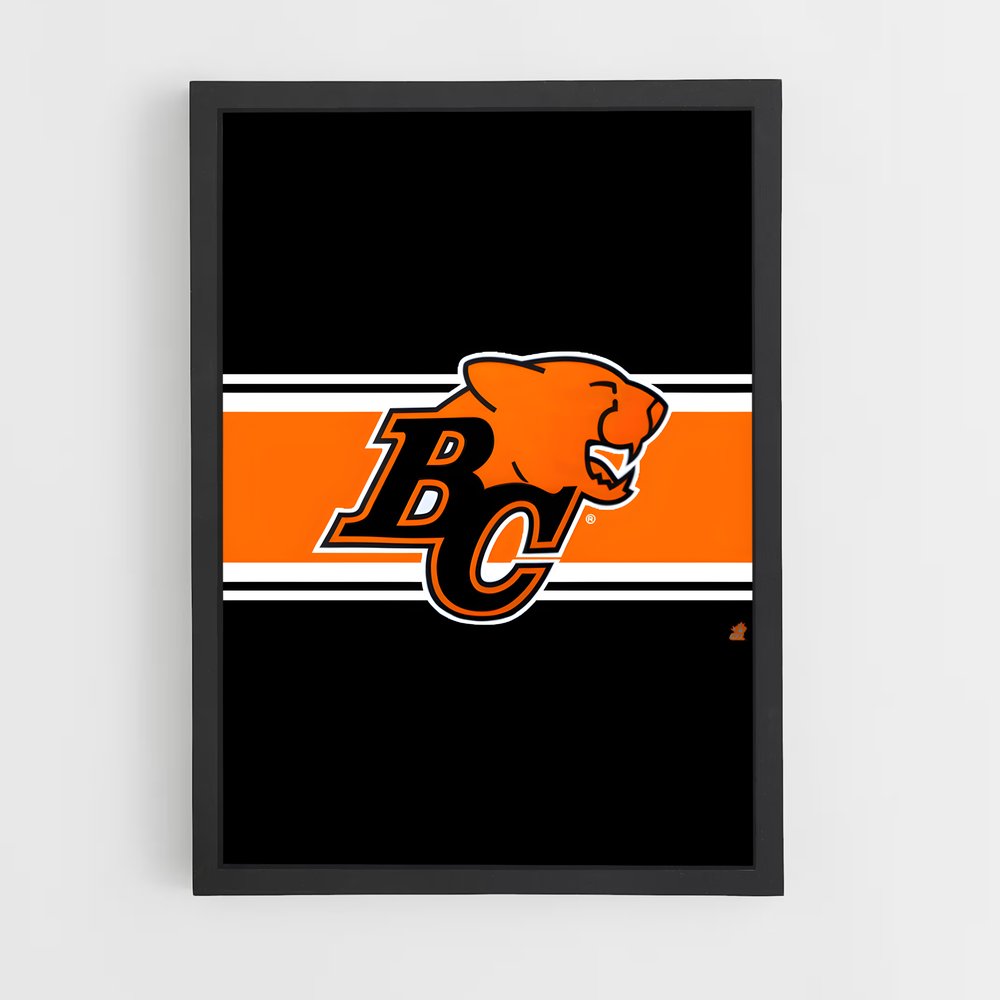 ap-bc lions-4 cadre Noir