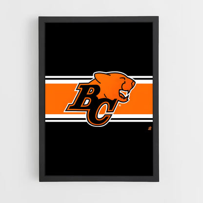 ap-bc lions-4 cadre Noir