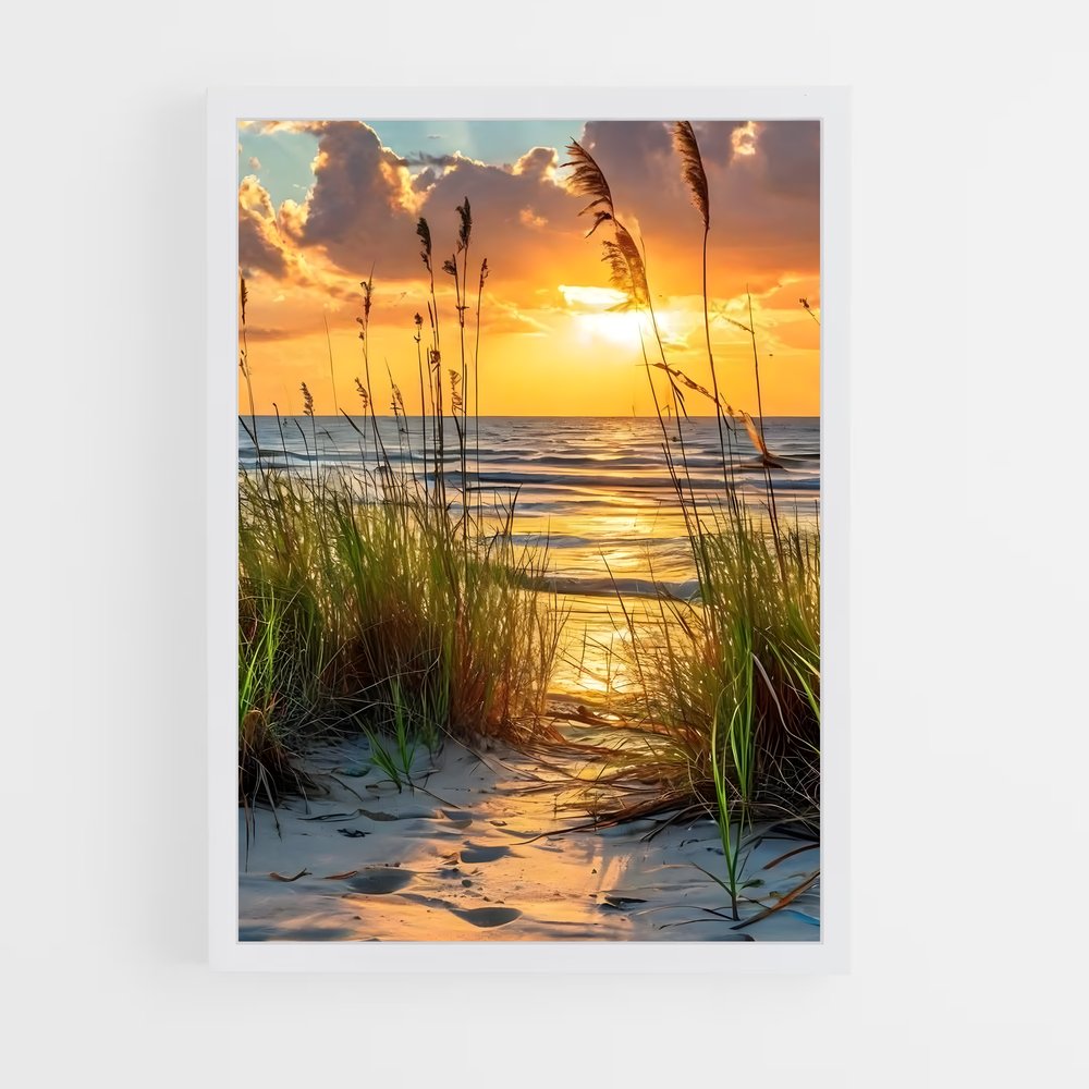ap-beach-1 cadre Blanc