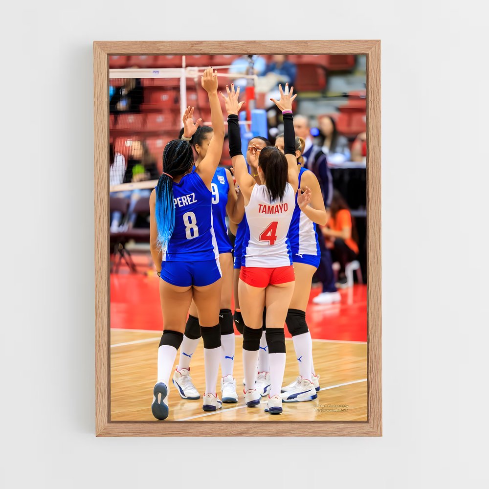 ap-beach volleyball nations cup-2 cadre Bois clair