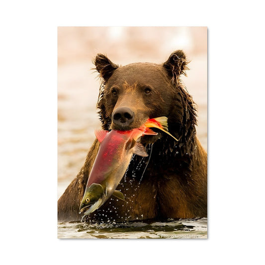 Poster Pêcheur des Bois