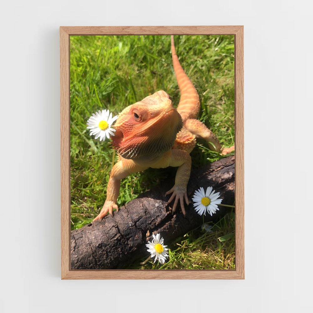 ap-bearded dragon-2 cadre Bois clair