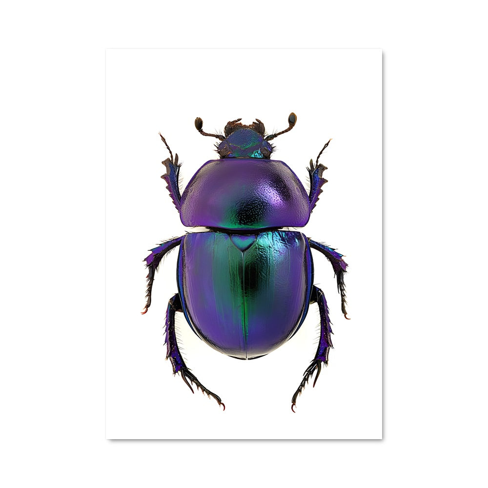 Poster Scarabée Élégant