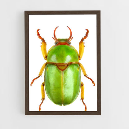 ap-beetle-4 cadre Bois foncé