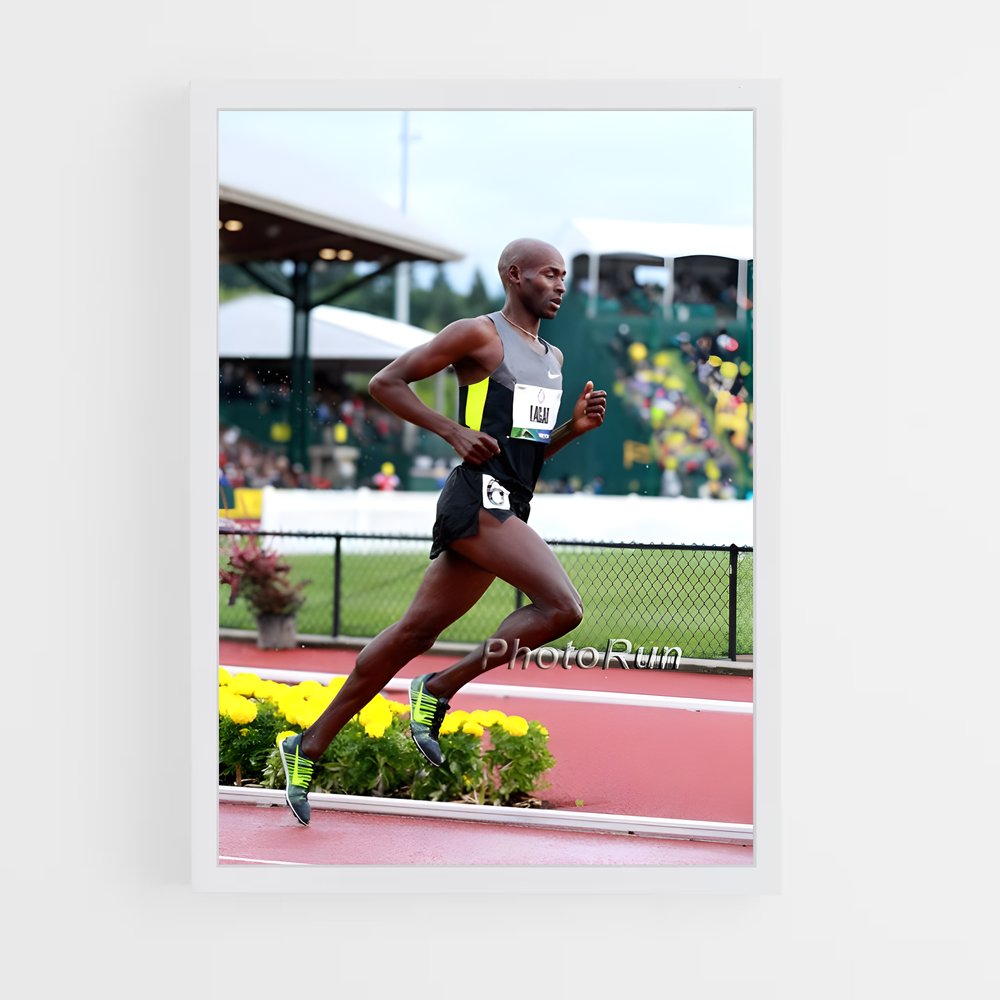 ap-bernard lagat-2 cadre Blanc