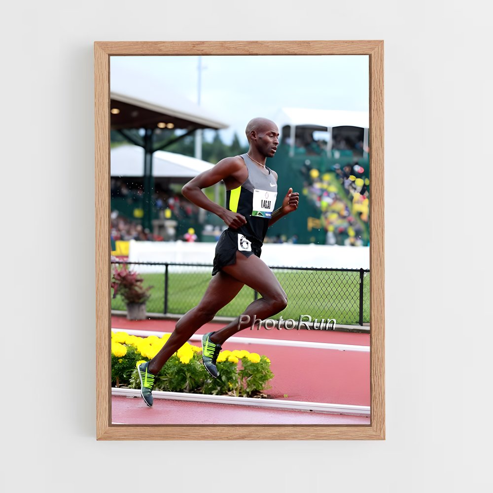 ap-bernard lagat-2 cadre Bois clair