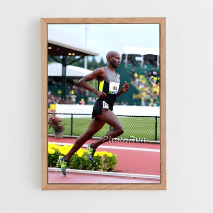 ap-bernard lagat-2 cadre Bois clair