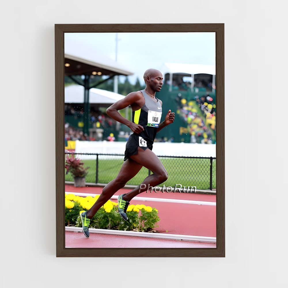 ap-bernard lagat-2 cadre Bois foncé