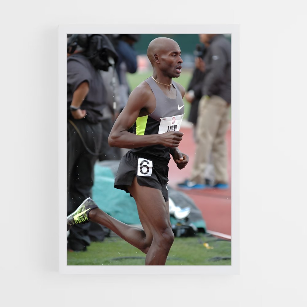 ap-bernard lagat-3 cadre Blanc
