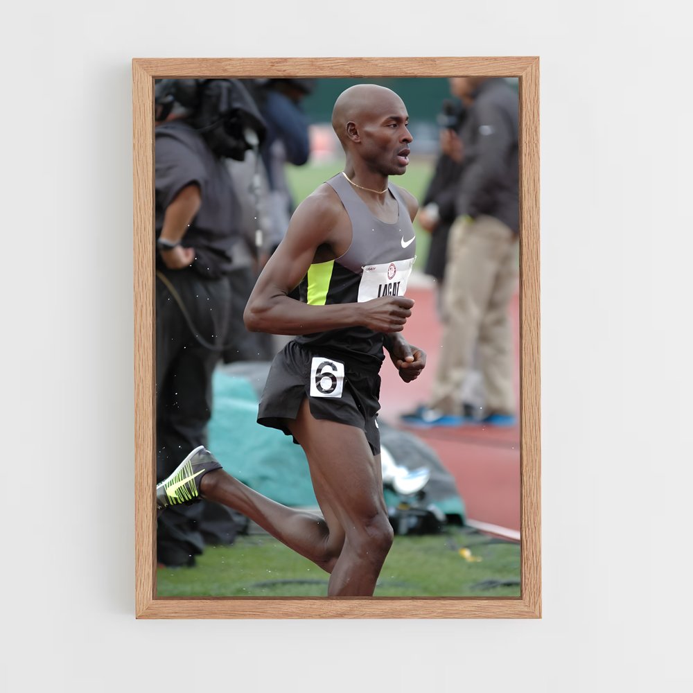 ap-bernard lagat-3 cadre Bois clair