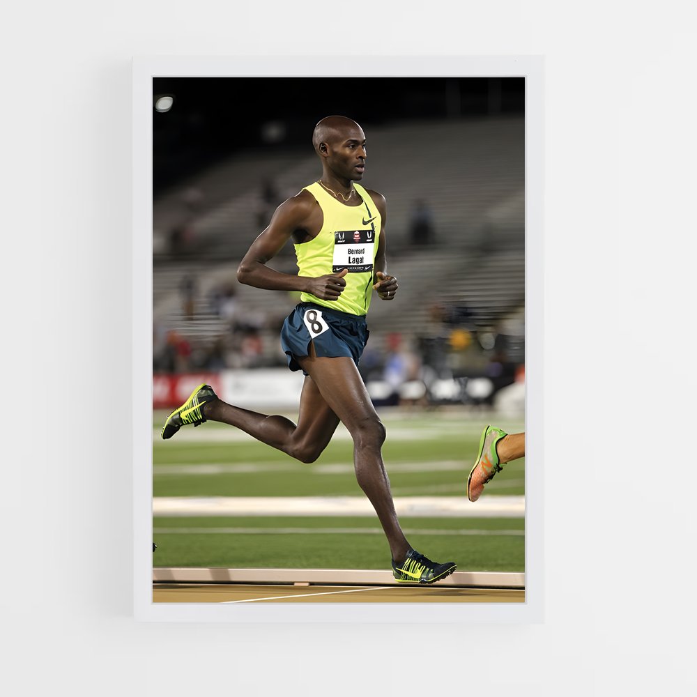 ap-bernard lagat-6 cadre Blanc