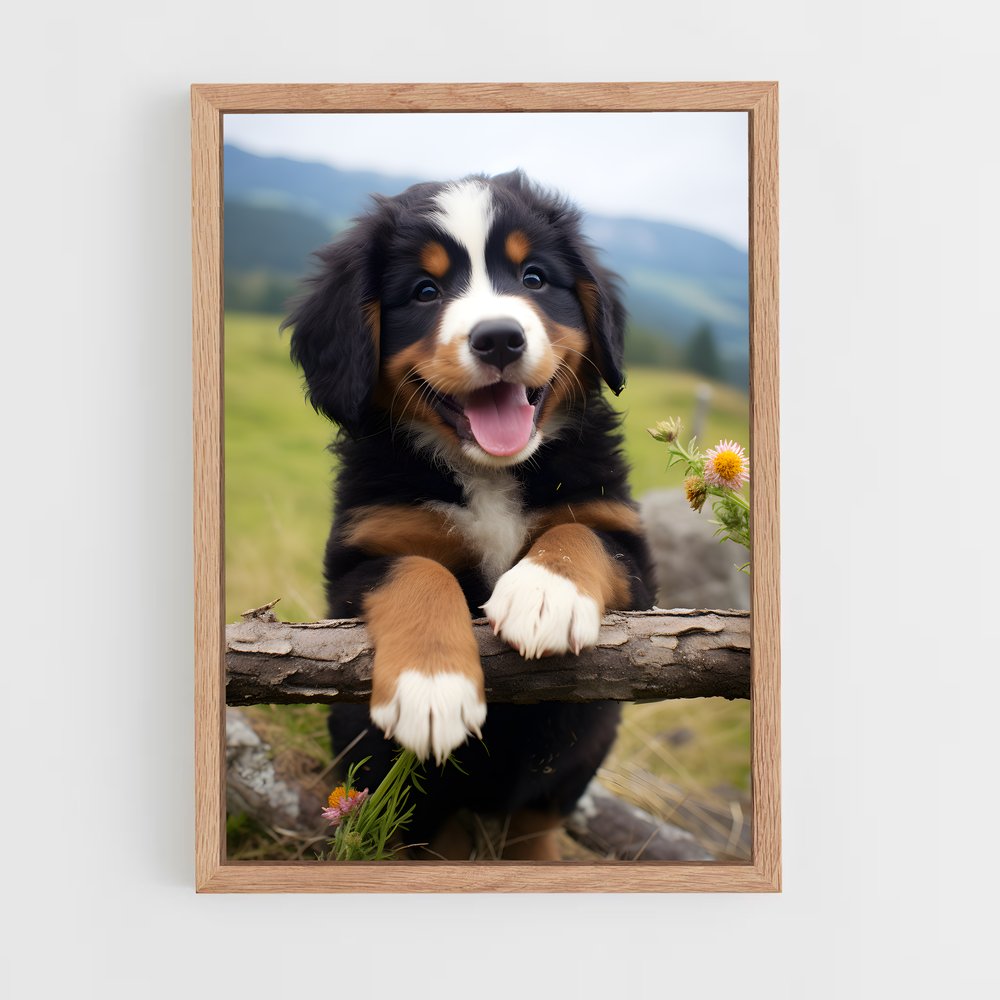 ap-bernese mountain dog-2 cadre Bois clair