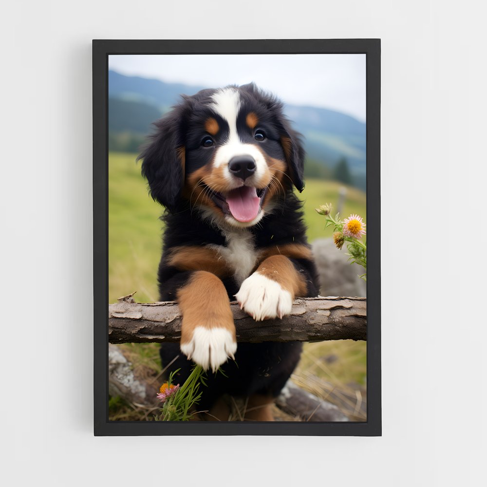 ap-bernese mountain dog-2 cadre Noir