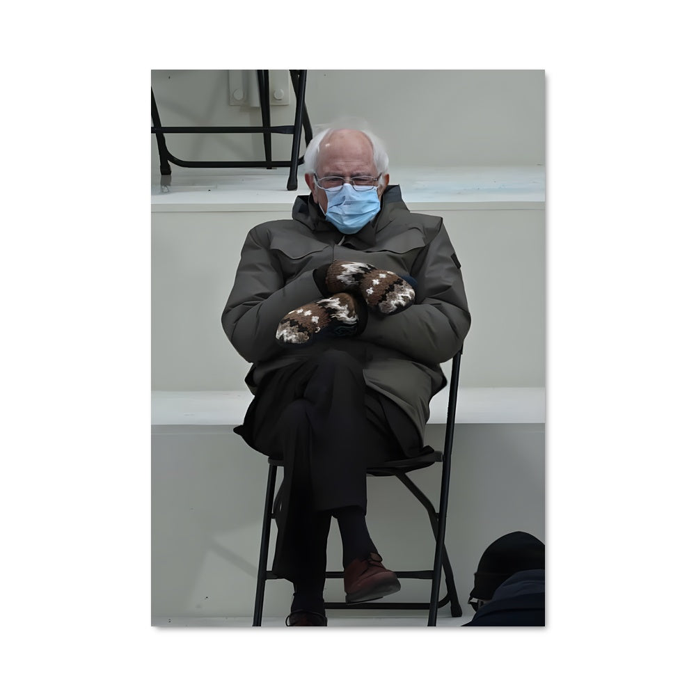 Poster Bernie et son Compagnon
