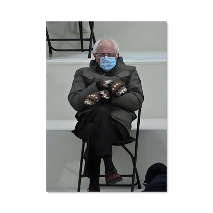 Poster Bernie et son Compagnon