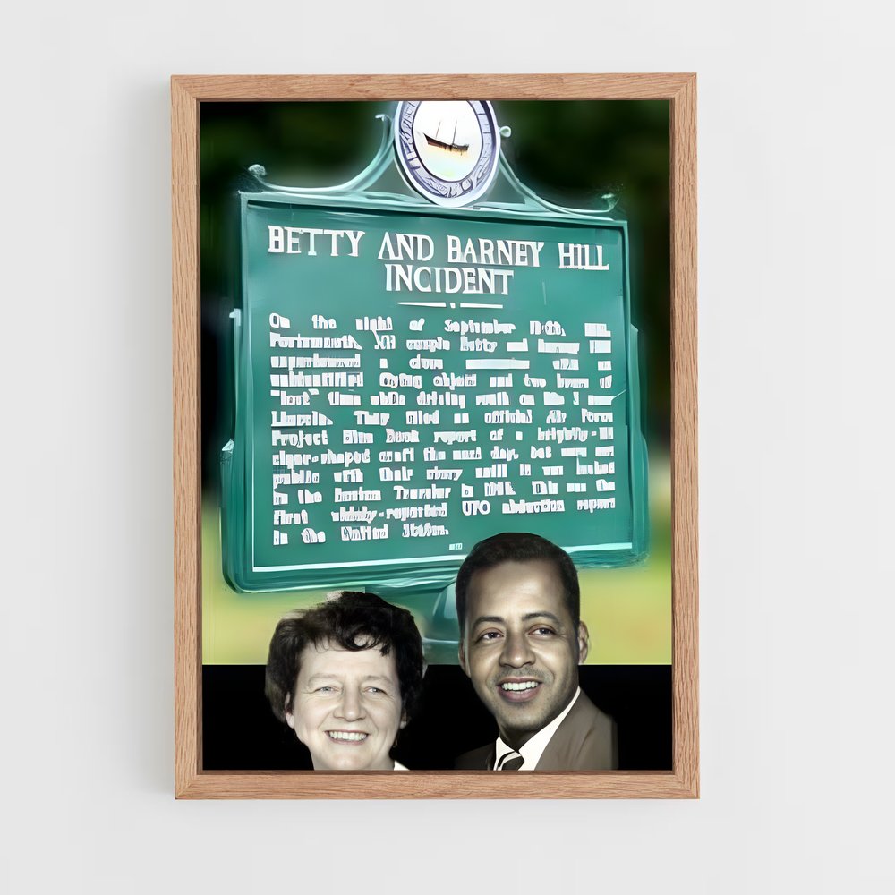 ap-betty barney hill-1 cadre Bois clair