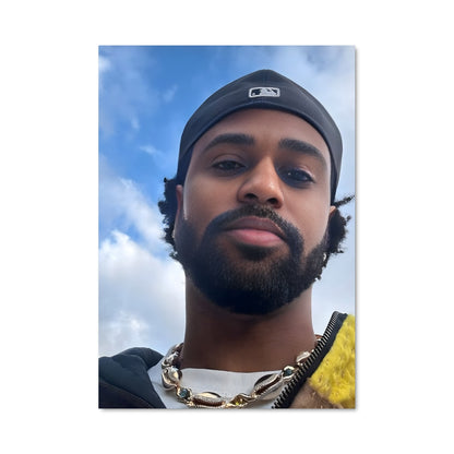 Poster Bearded Vibes