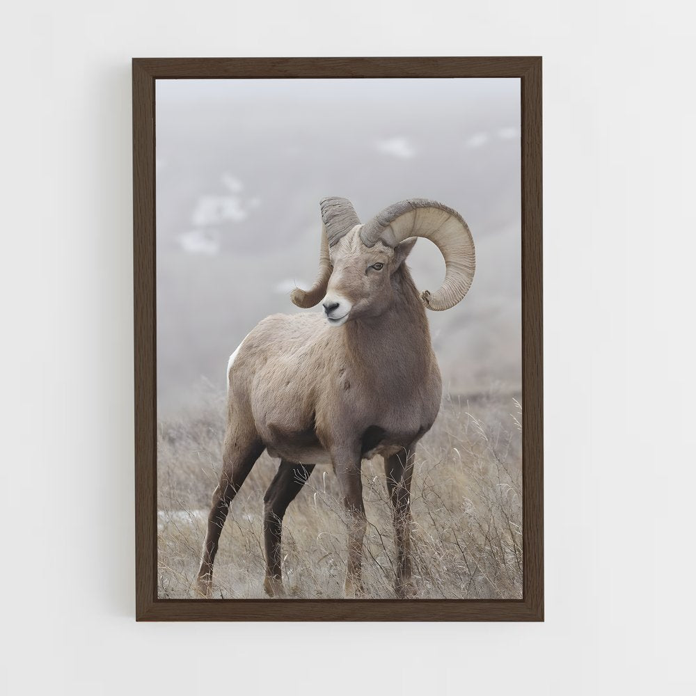 ap-bighorn sheep-6 cadre Bois foncé