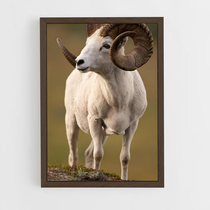 ap-bighorn sheep-8 cadre Bois foncé