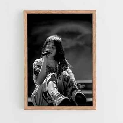 ap-billie eilish-15 cadre Bois clair