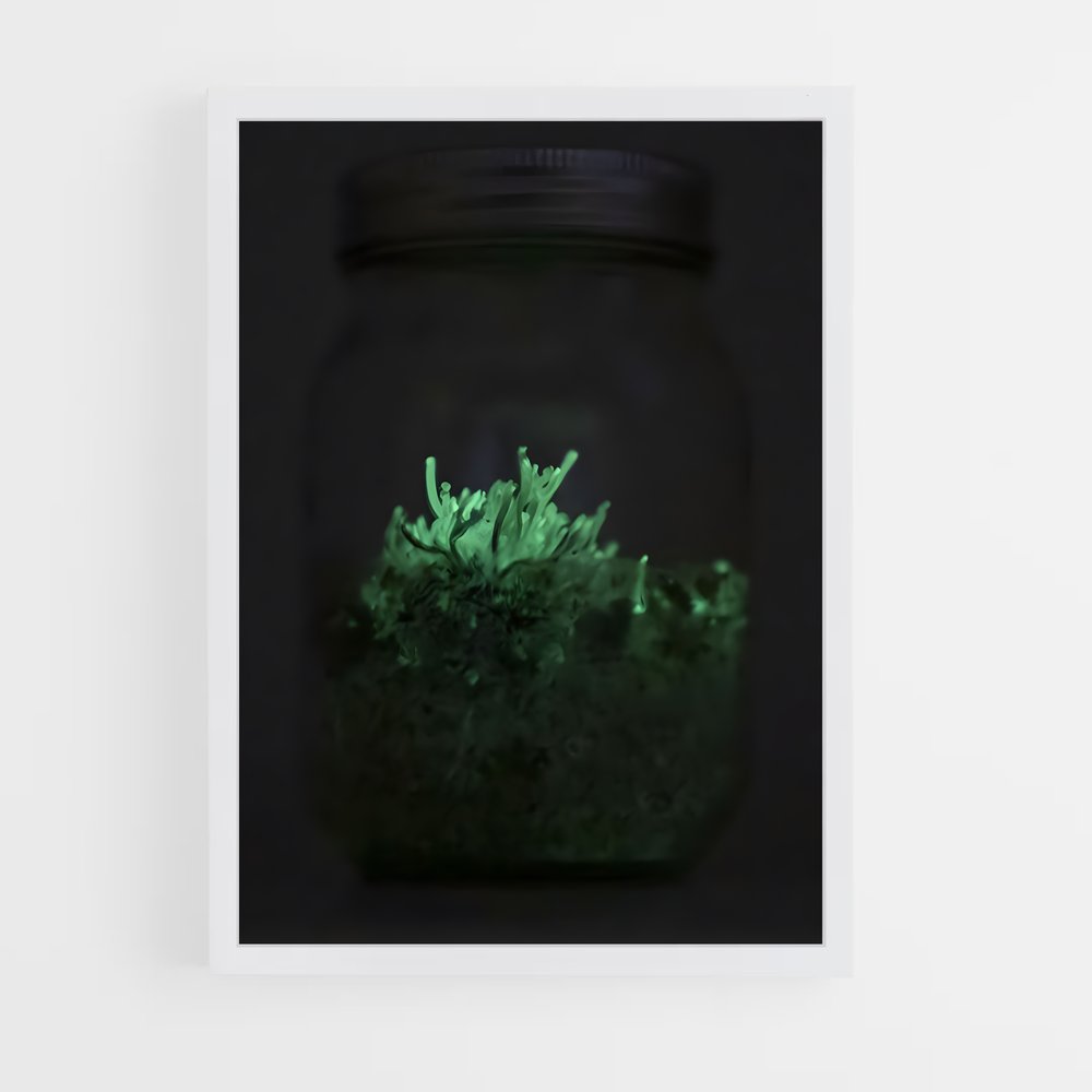 ap-bioluminescent mushroom-7 cadre Blanc