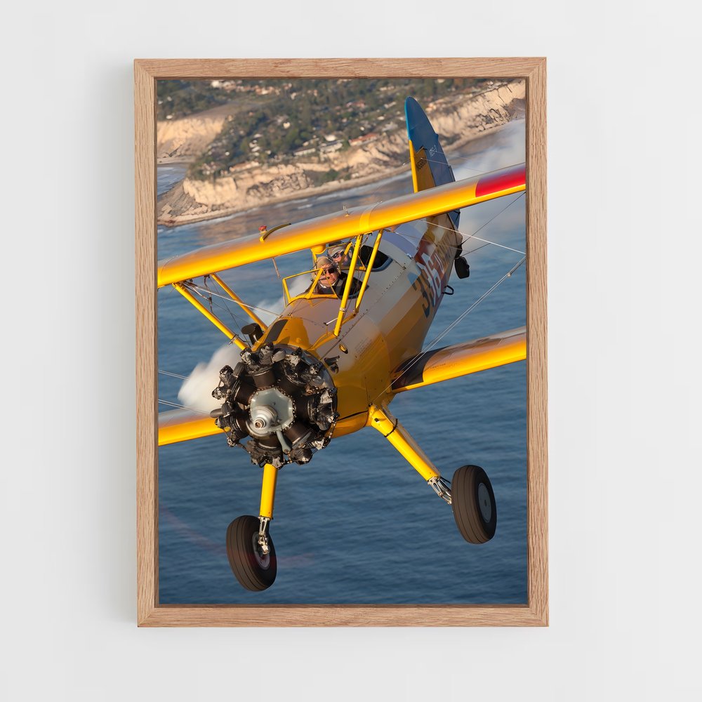 ap-biplanes-1 cadre Bois clair