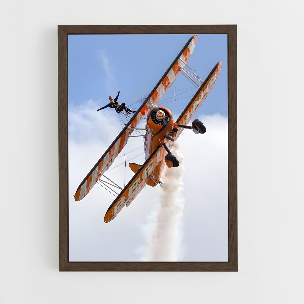 ap-biplanes-2 cadre Bois foncé