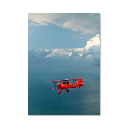 Poster Vol au-dessus des Vagues