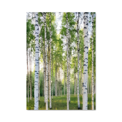 Poster Birch 96932