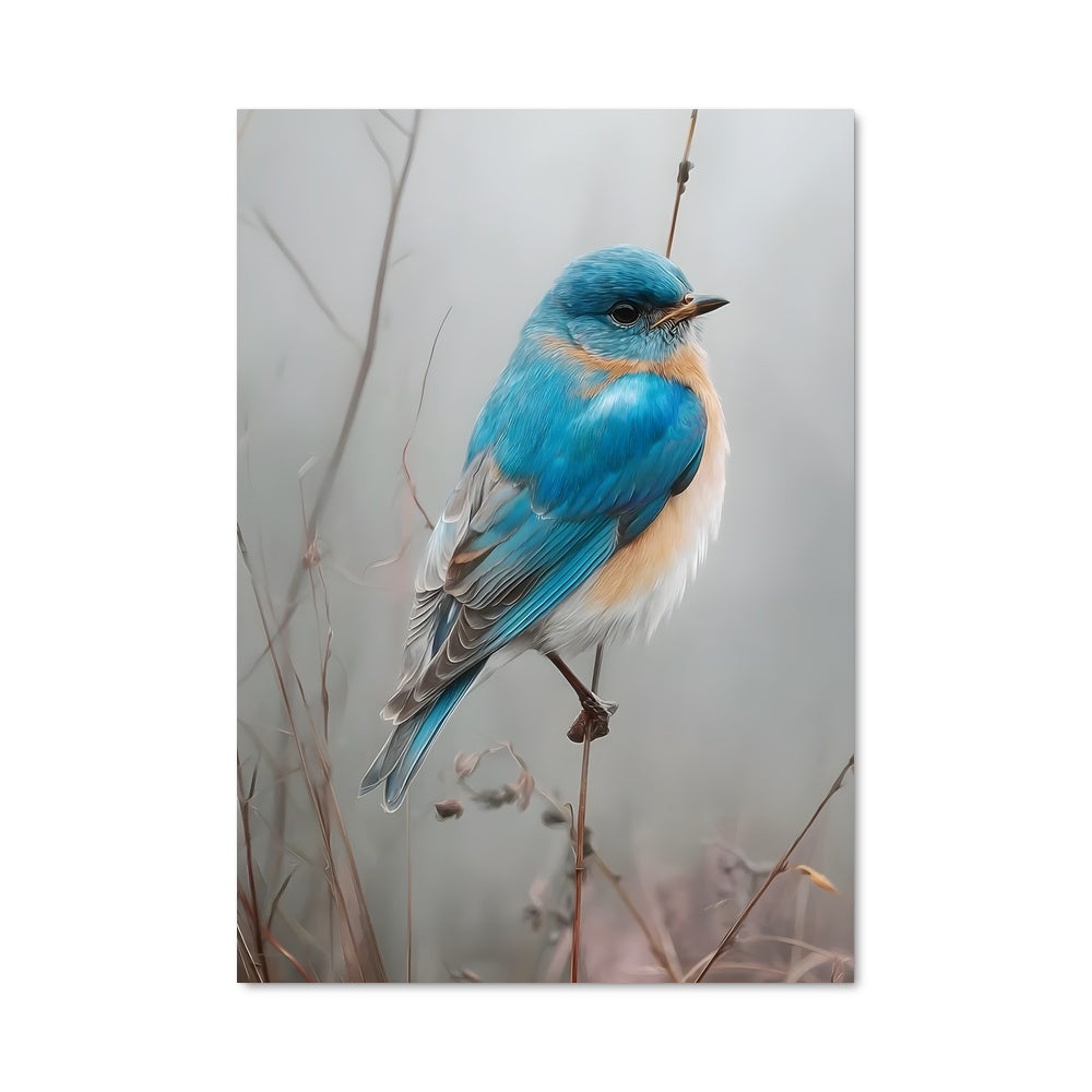 Poster Oiseau Azur