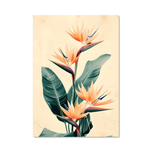 Poster Paradis Envolé