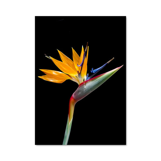 Poster Paradis Floral