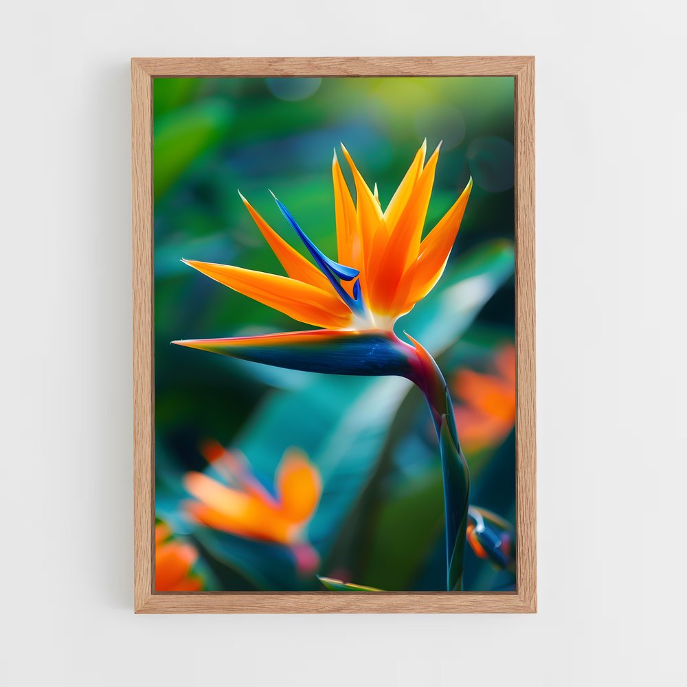 ap-bird of paradise-1 cadre Bois clair