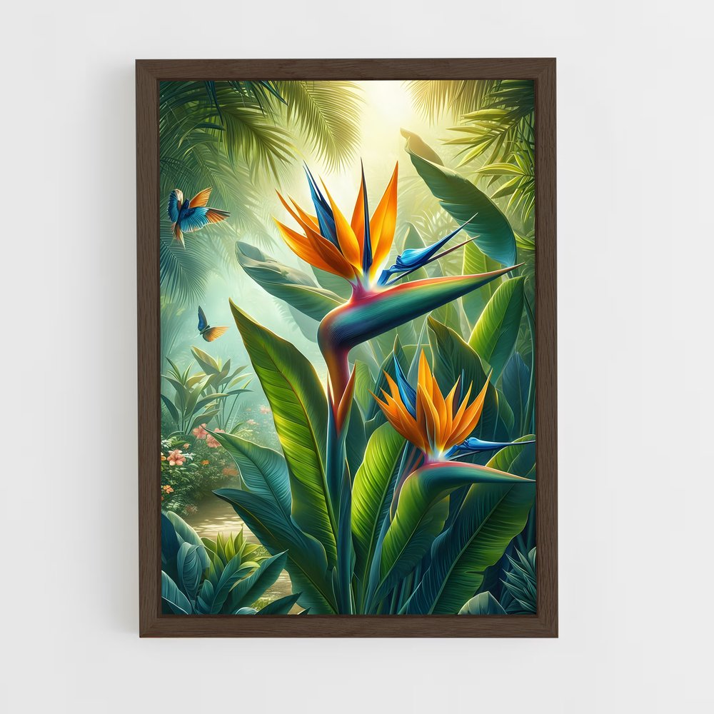 ap-bird of paradise-10 cadre Bois foncé