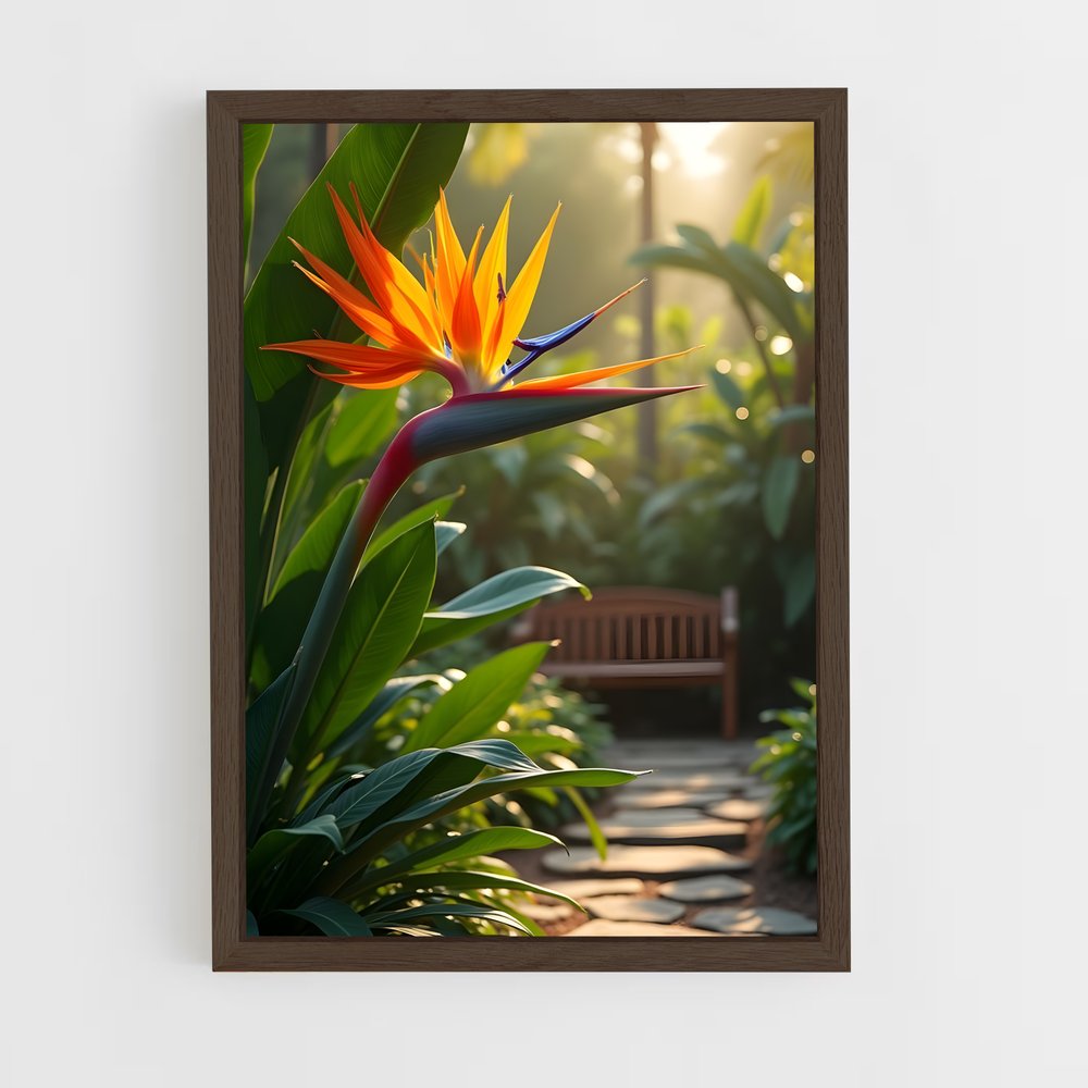 ap-bird of paradise-12 cadre Bois foncé