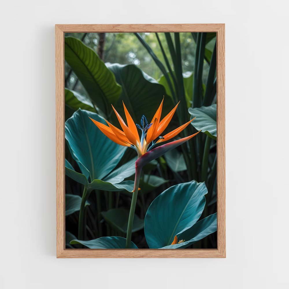 ap-bird of paradise-13 cadre Bois clair