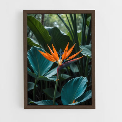 ap-bird of paradise-13 cadre Bois foncé